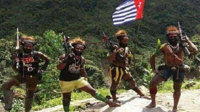 kelompok-kriminal-bersenjata-kkb-papua-1