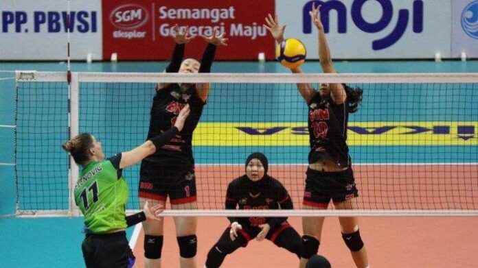 images - 2023-02-17T220308.681